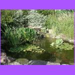 Prayer Garden - Another View.jpg